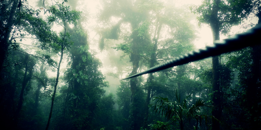 Experience the thrill of ziplines & zipwires, backed by the safety ensured through Magnetic Rope Testing. 