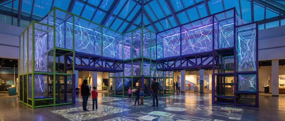 A multi-level net maze attraction showcasing high-capacity, harness-free active play in an adventure park.