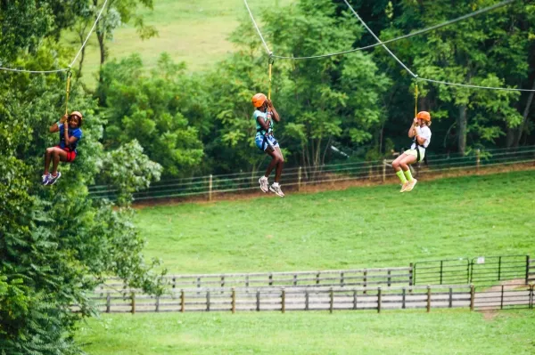 RVR_zipline-06.jpg