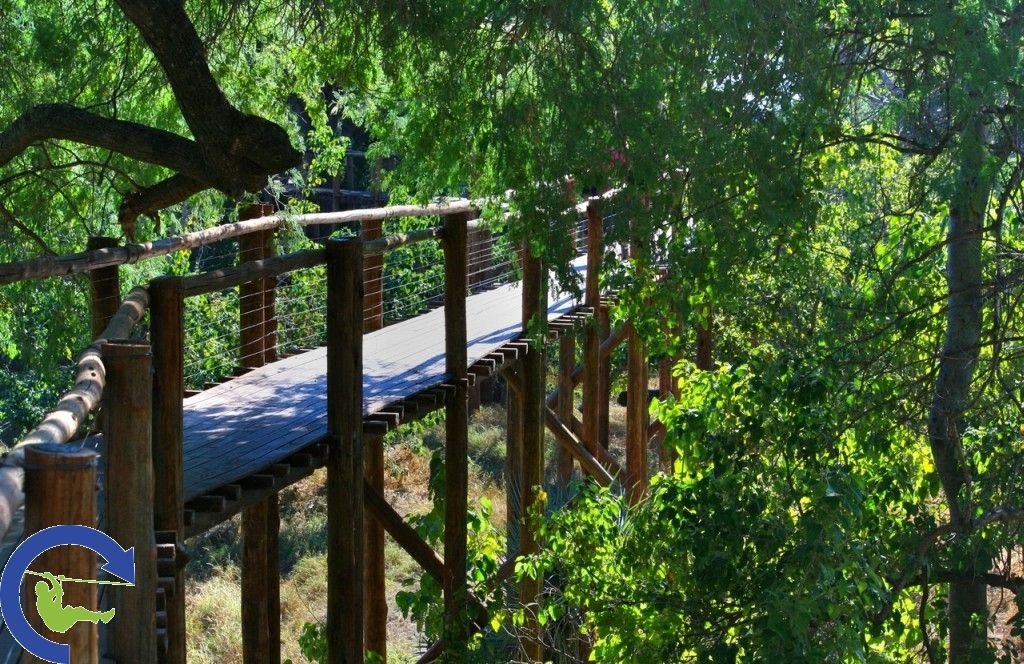 treetopwalk_1.jpg