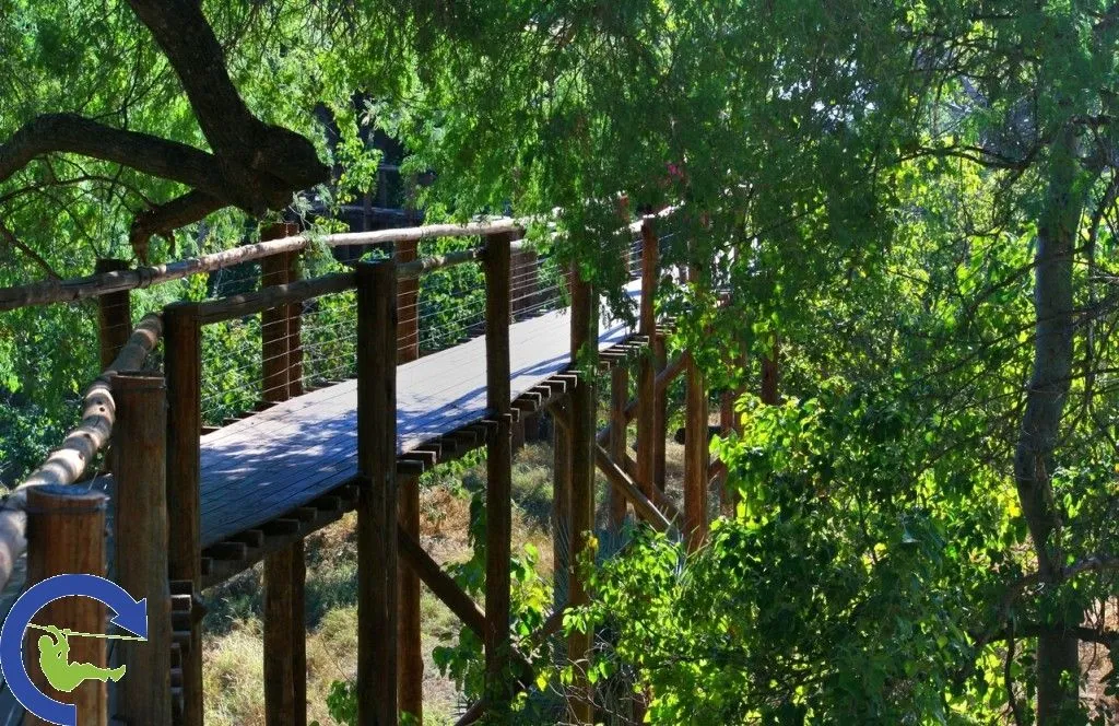 treetopwalk_1.jpg