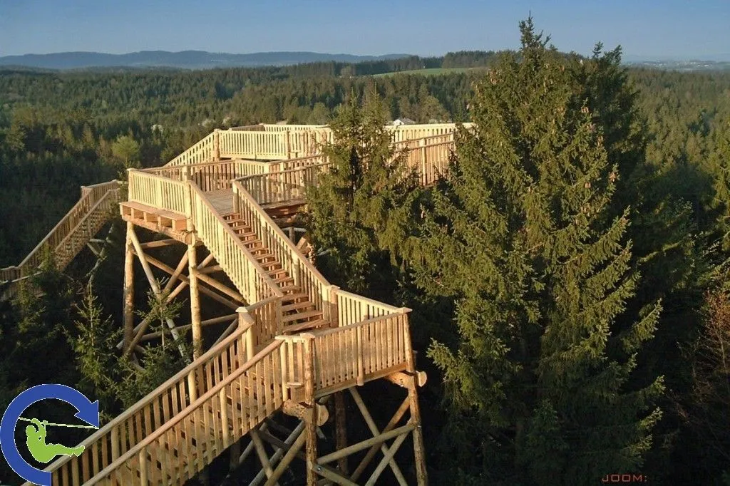 treetopwalk_3.jpg