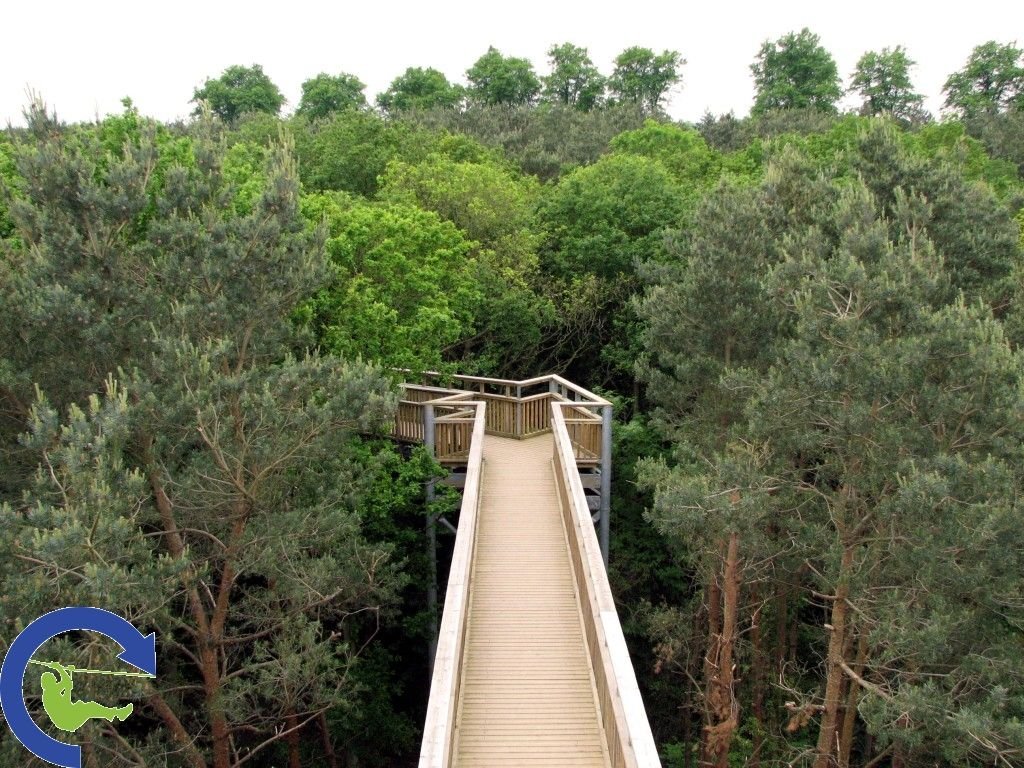 treetopwalk_5.jpg