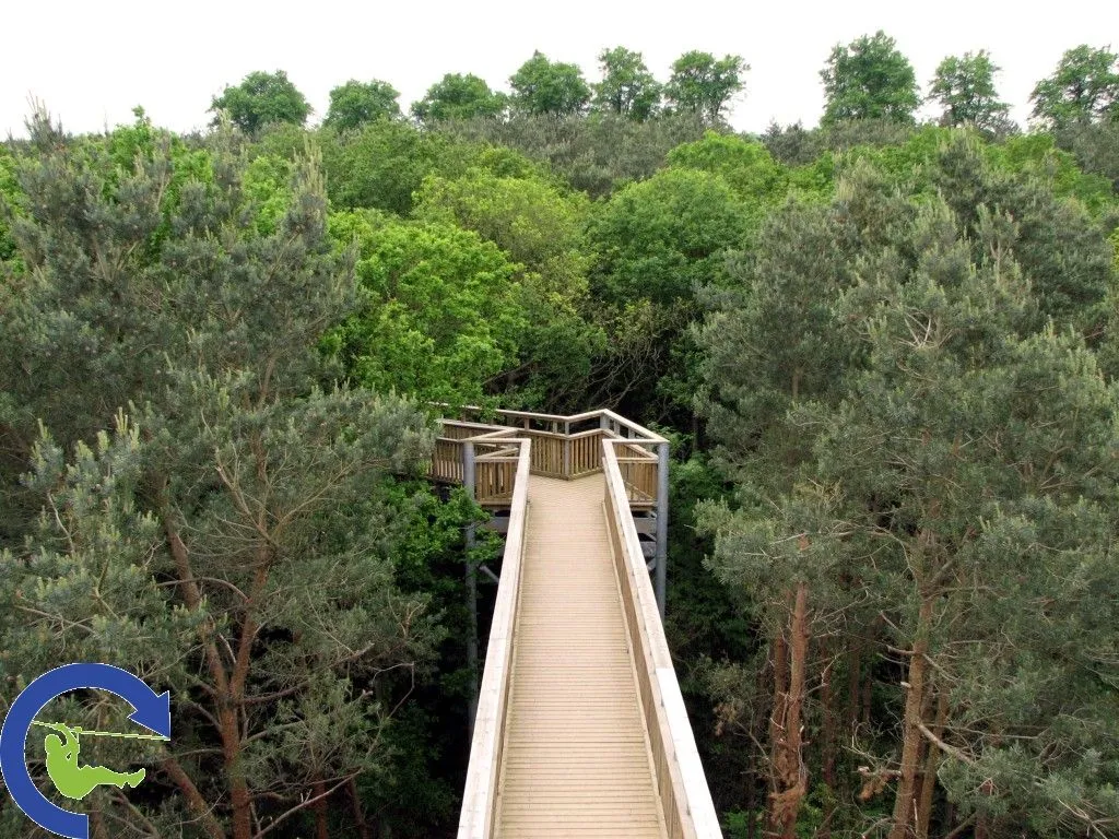 treetopwalk_5.jpg