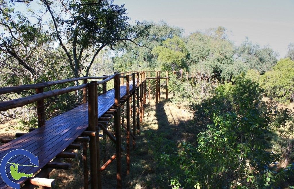 treetopwalk_7.jpg