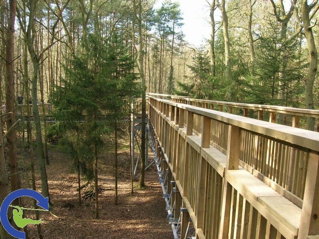 treetopwalk_8.jpg