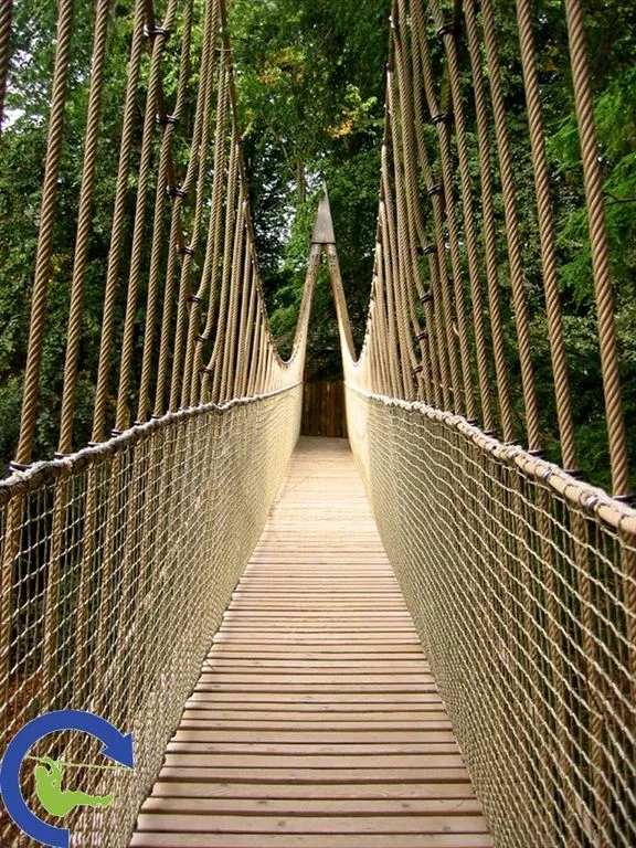 treetopwalk_9.jpg