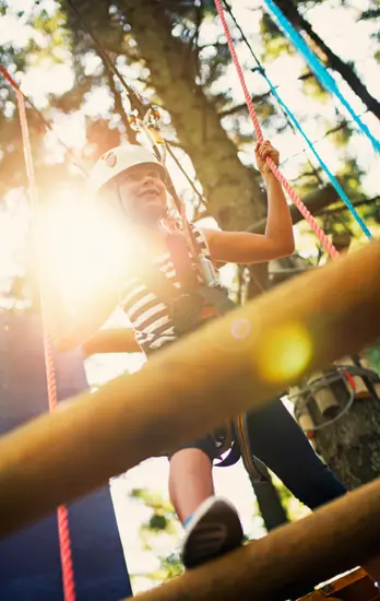 ECO High-Wire Forest Park — aerial view of treetop adventure course