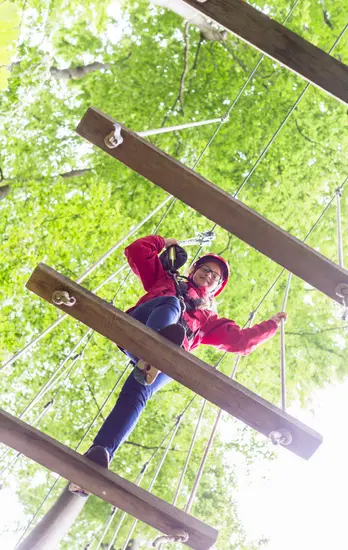 Skywalker team conducting a site feasibility assessment for a high-wire forest park