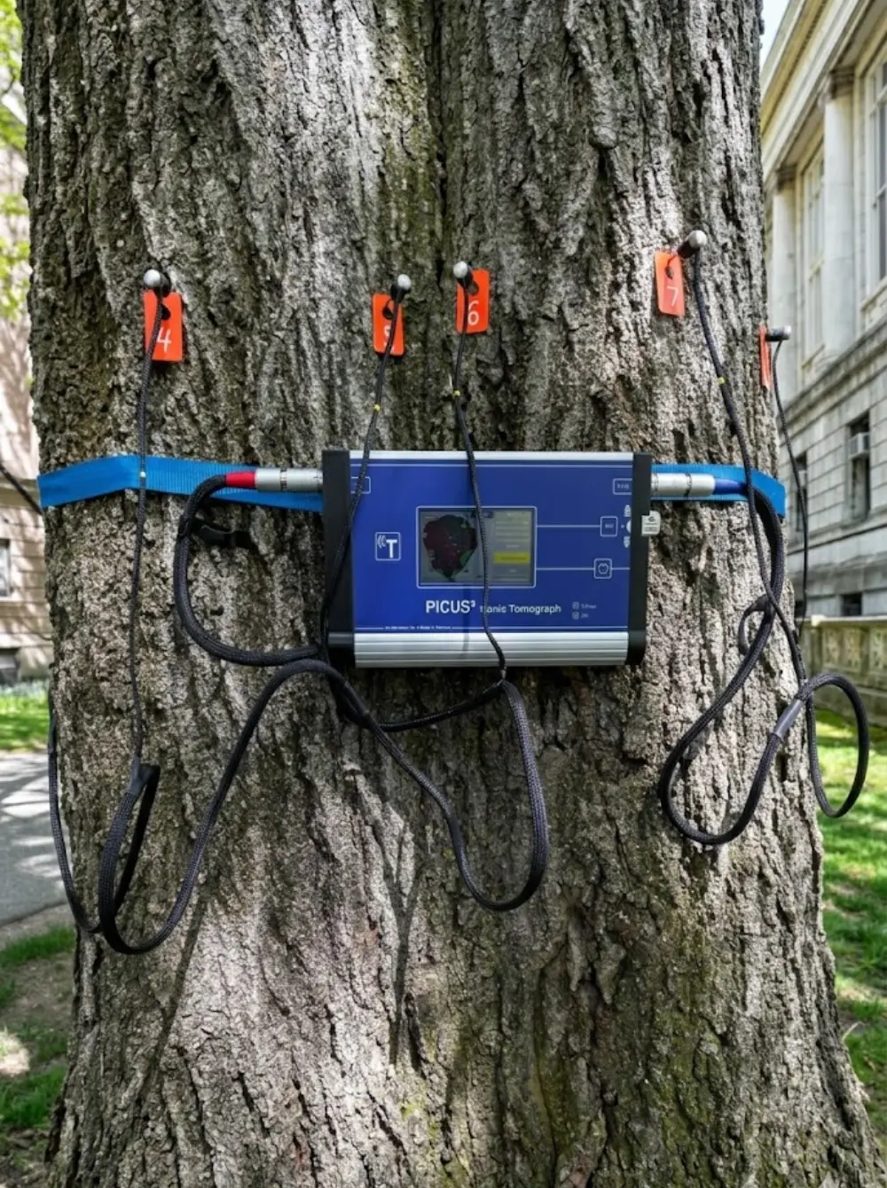 Skywalker inspector conducting a ropes course annual inspection