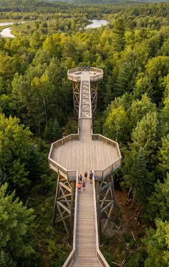 Skywalker ECO Treetopwalk with lookout tower and suspension bridge
