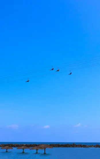 Professional zipline installation in natural terrain — Skywalker Adventure Builders