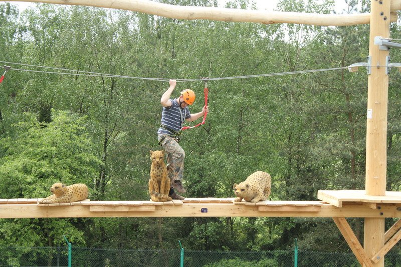 Unlock the potential of your next venture with a nature-based theme park. From aquatic zones to ropes courses, find out how to create a memorable and profitable attraction. Read our expert guide!