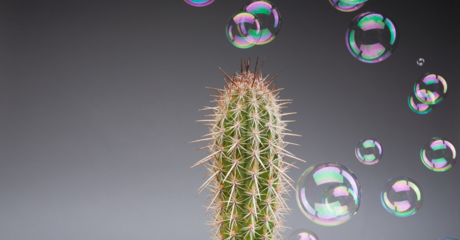 Optimieren des Betriebs von Abenteuerparks: Die Leistungsfähigkeit von Predictive Analytics