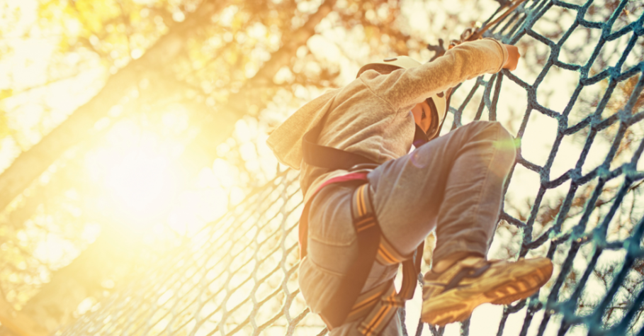 Creating Profitable Adventure Parks: Tips and Strategies