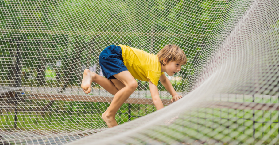 New Frontiers in Adventure: Profitable Upgrades for Aerial Adventure Parks