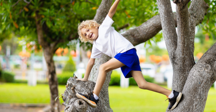 Parques de aventura para todas: Cómo los patios pueden llenar el vacío