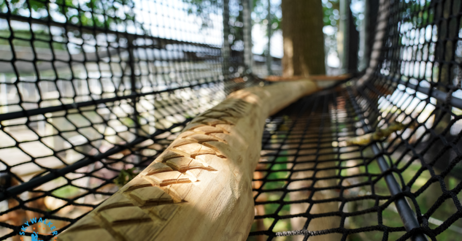 Een klimbos op maat bouwen: van eerste idee tot jaarlijks onderhoud