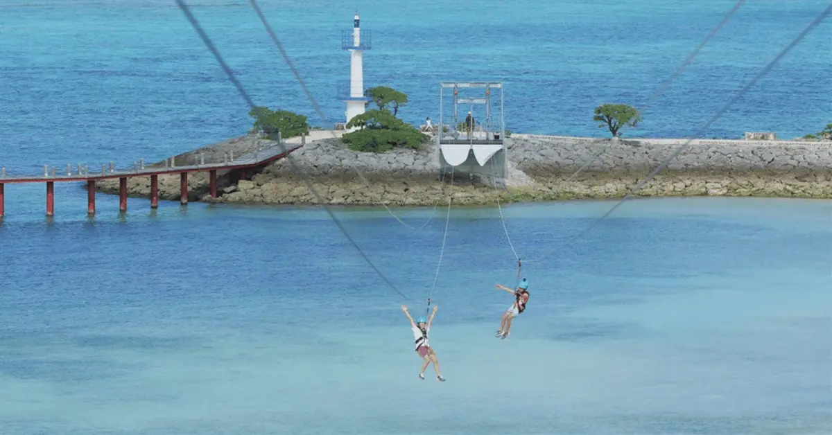 Learn to write a highly effective zipline business plan that boosts your zipline ROI and manages operating expenses. Start optimizing your operations now.