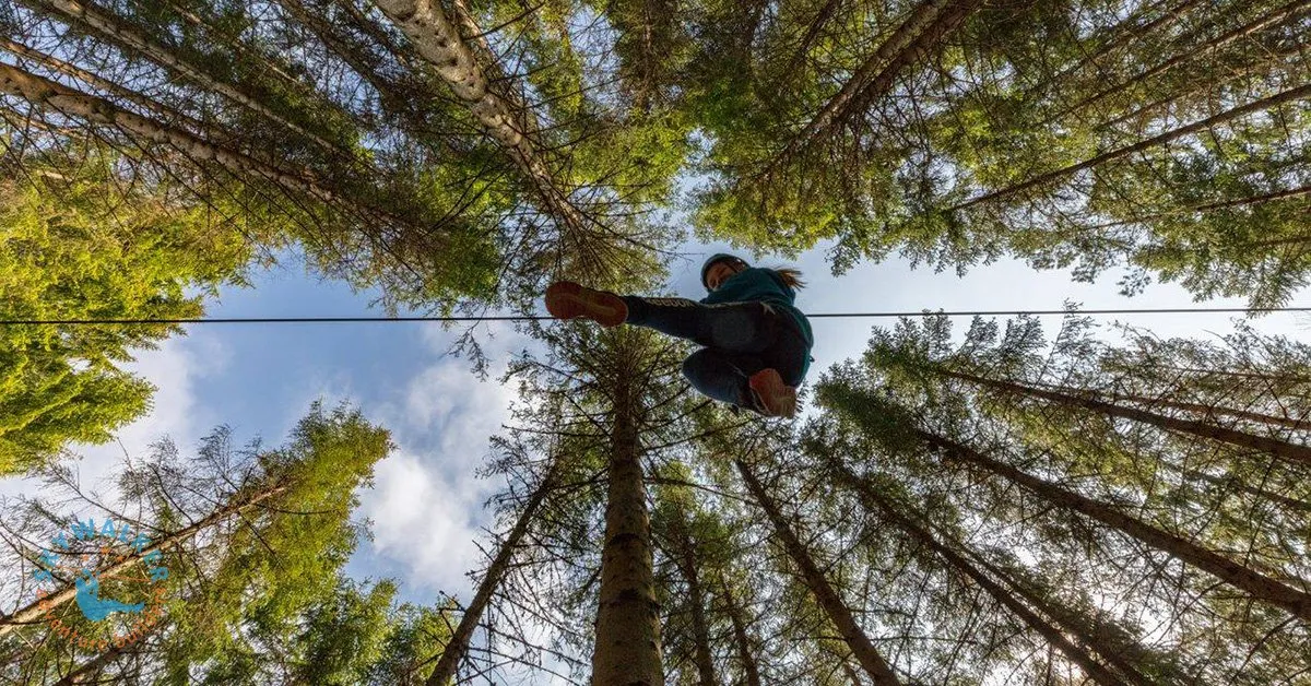 Discover how proper zipline platform design impacts your adventure park's longevity and profitability. Explore professional engineering standards now.